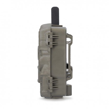 Camera de la faune  - 3