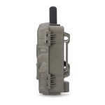 Camera de la faune  - 3