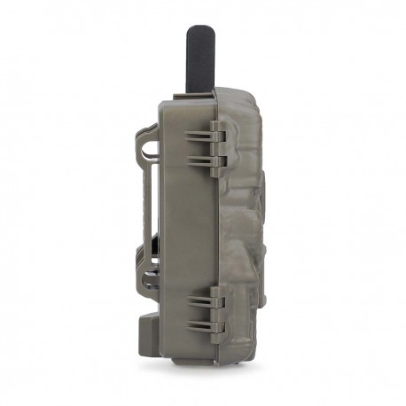 Camera de la faune  - 5