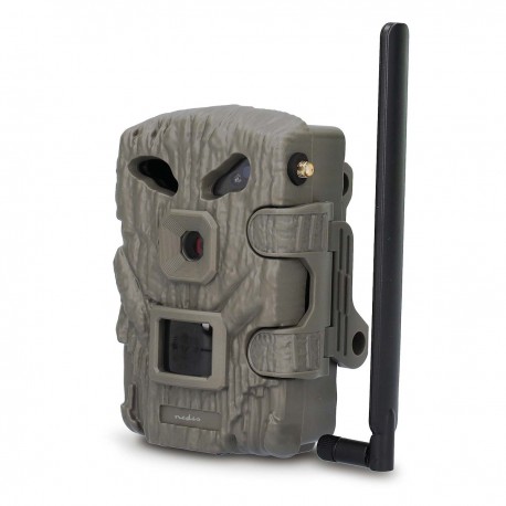 Camera de la faune  - 6