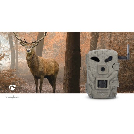 Camera de la faune  - 10