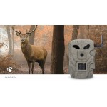 Camera de la faune  - 10