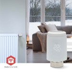 Contrôle de Radiateur SmartLife  - 2