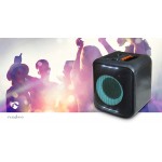 Haut-parleur BlueTooth® Party  - 13