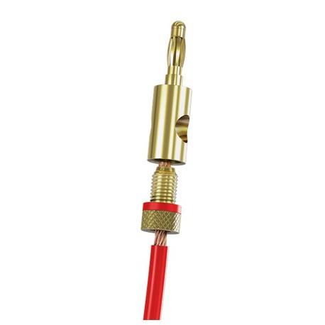 Fiche banane dorée - bague rouge