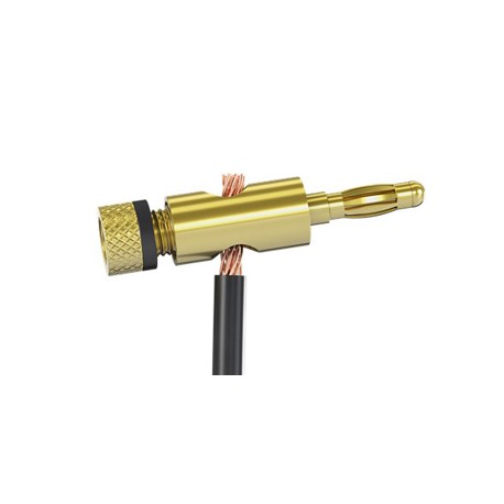 Fiche banane dorée - bague noire