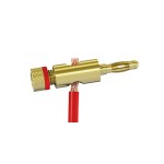 Fiche banane dorée - bague rouge