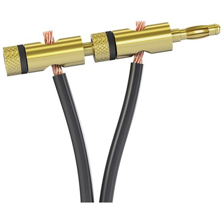 Fiche banane dorée à bague noire pour audio