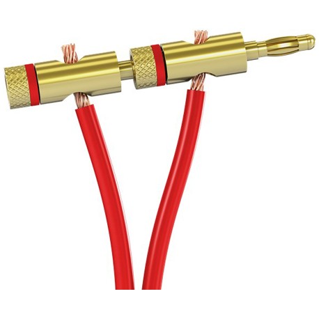 Fiche banane dorée à bague rouge pour audio