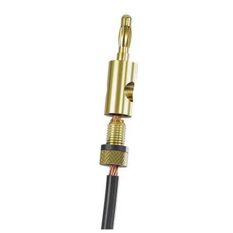 Fiche banane dorée - bague noire