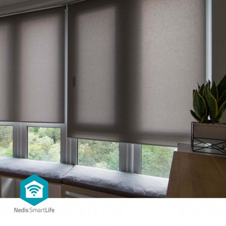 Robot à Rideau  - 11