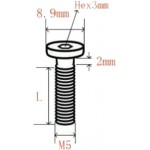 Vis à tête plate bas profil M5  - 2