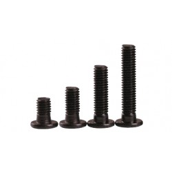 Vis à tête plate bas profil M5  - 1