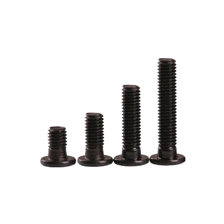 Vis à tête plate bas profil M5  - 1