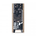 Vue de dessous du module Pimoroni Pico Plus 2