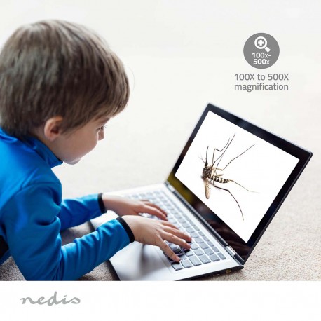 Caméra de Microscope  - 11