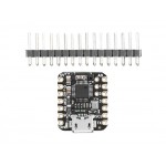 Module USB Hôte ADA5956 et son connecteur pour XIAO