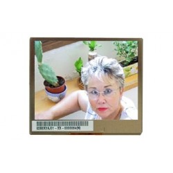 Ecran TFT couleur OEM