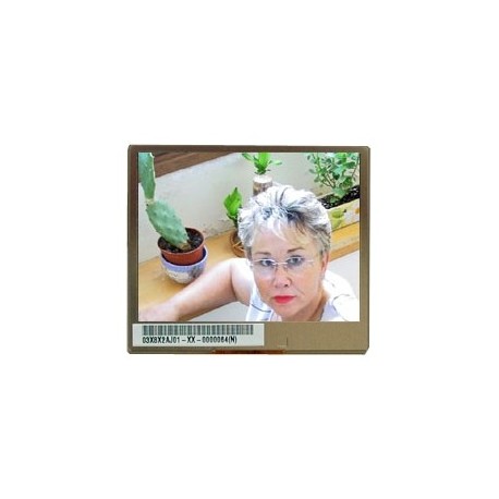 Ecran TFT couleur OEM