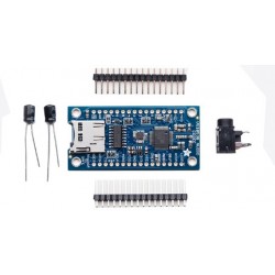 Module lecteur-enregistreur audio  - 1