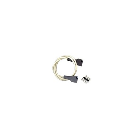 Cordon Pmod 6 Pin Cable Connector 18"  - 1