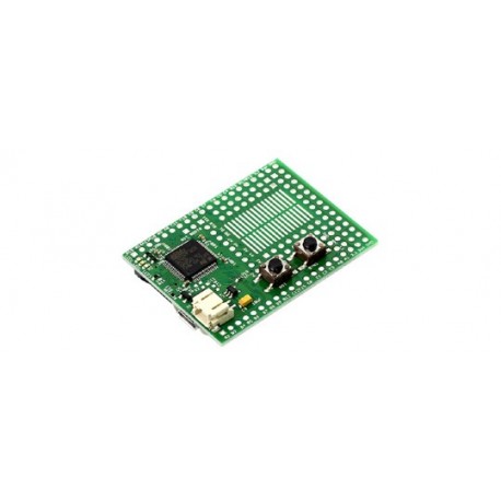 Platine Espruino Board  ARM™ Cortex M3™ avec interpréteur JavaScript