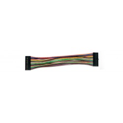 Cordon 2x15 Ribbon Cable pour Analog Discovery 2