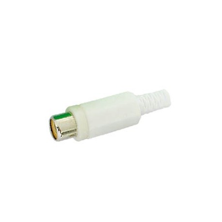 Connecteur RCA femelle (blanc)  - 1