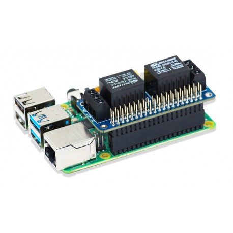 Vue de la latine 2 relais sur une Raspberry Pi 4