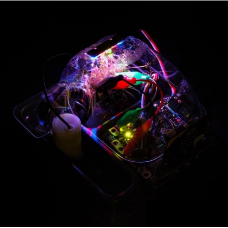 Micro serre intelligente KITRO5699