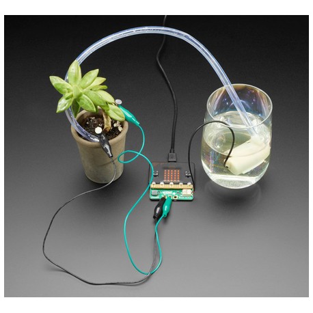 Exemple d'application de la platine Adafruit 4534 Bonsai Buckaroo