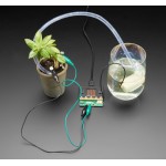 Exemple d'application de la platine Adafruit 4534 Bonsai Buckaroo