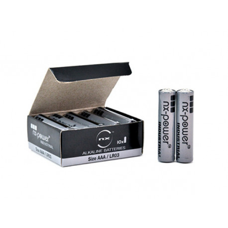 10 piles alcalines AAA 1,5V
