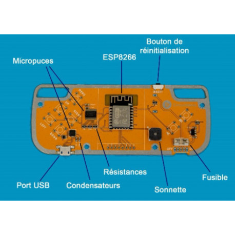 Détail de la carte principale du kit éducatif NIBBLE