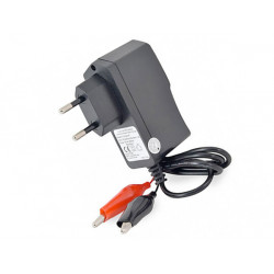 Chargeur pour batterie au plomb 12V