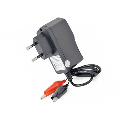Chargeur pour batterie au plomb 12V