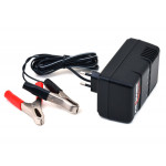 Chargeur pour batteries au plomb de 2V 6V 12V ou 24V  - 1