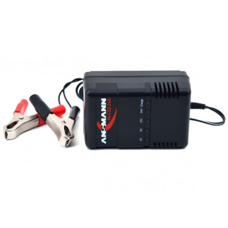 Chargeur pour batteries au plomb de 2V 6V 12V ou 24V  - 2