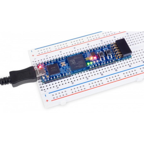 Utilisation du module Cmod S7 sur une Breadboard