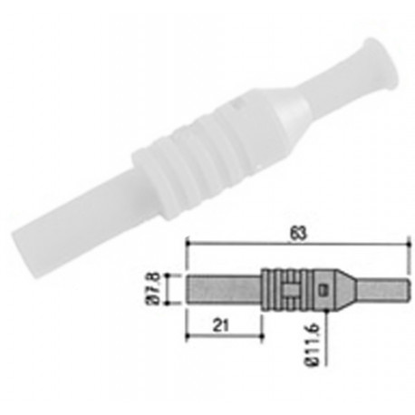 Fiche banane femelle isolée - blanc  - 1