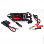 Chargeur pour batteries au plomb 12V ou 24V