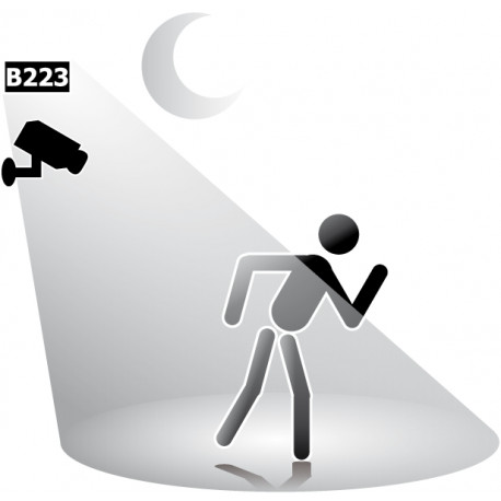 Exemple d'utilisation du kit projecteur Infrarouge Kemo® B223