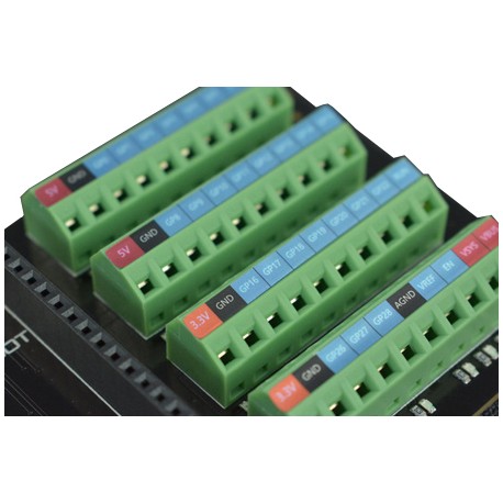 Détails des borniers à vis de la platine d'extension DFR0924 pour Pi Pico