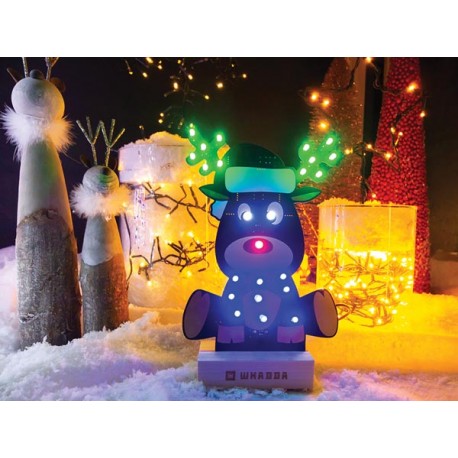 Rendu du kit de soudage et programmation Rudolph Whadda WSPXL101