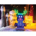 Rendu du kit de soudage et programmation Rudolph Whadda WSPXL101