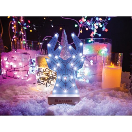 Rendu du kit de soudage et programmation Cerf Poly Whadda WSPXL103