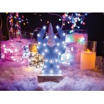 Rendu du kit de soudage et programmation Cerf Poly Whadda WSPXL103