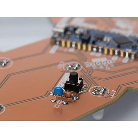 Bouton libre d'utilisation du kit de soudage et programmation Cerf Poly Whadda WSPXL103