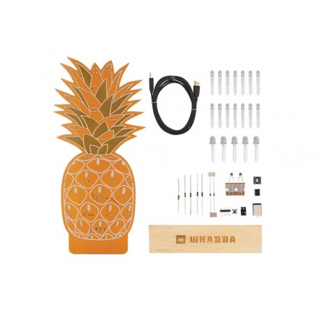 Détail des composants du kit Ananas lumineux Whadda WSXL107