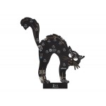 Face arrière du Kit Chat lumineux Whadda WSXL109